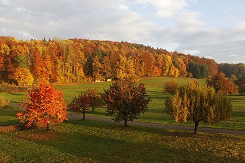 Museum im Herbst