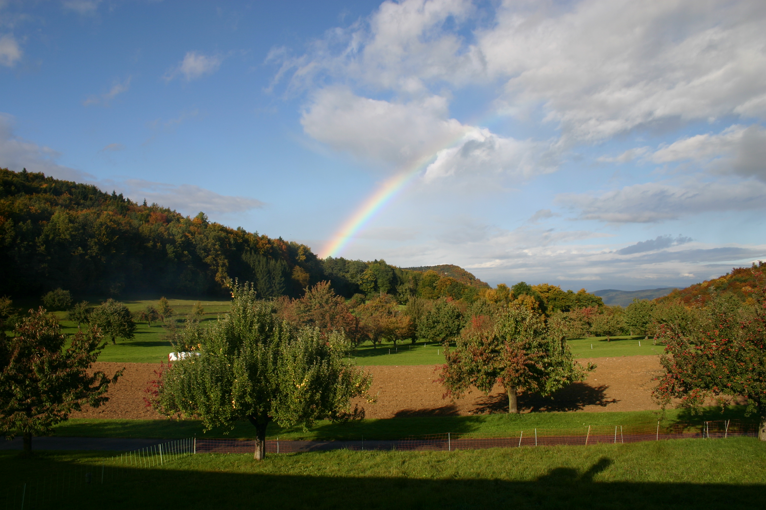 Herbststimmung beim Museum